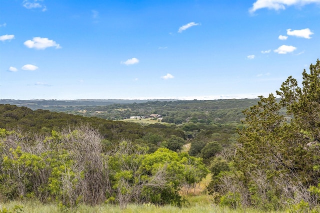 view of nature