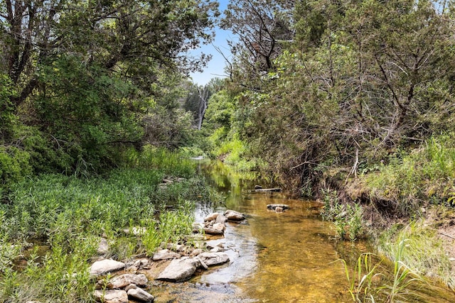 view of local wilderness