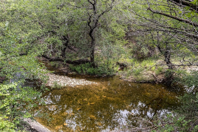 view of nature