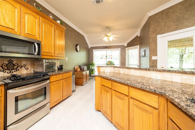 kitchen with ceiling fan, plenty of natural light, stainless steel appliances, and lofted ceiling