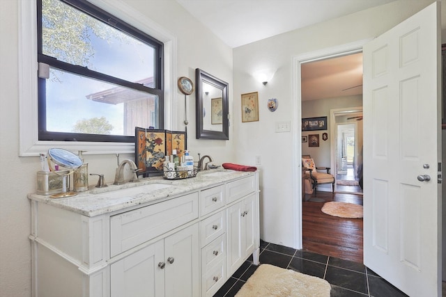 bathroom featuring wood-type flooring and vanity