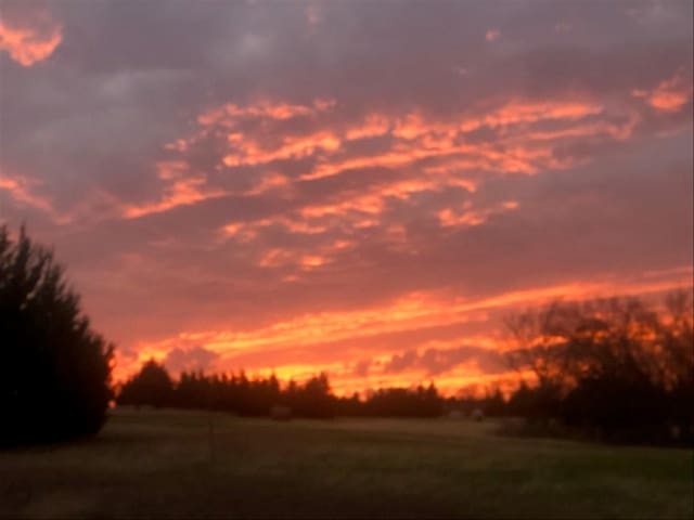 view of nature at dusk