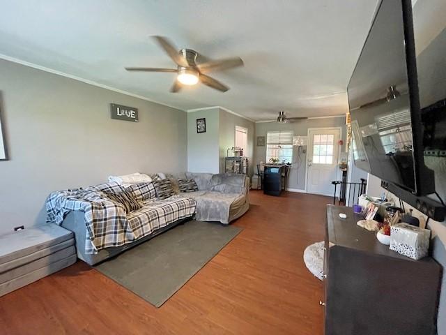 living room featuring dark hardwood / wood-style floors, ceiling fan, and crown molding