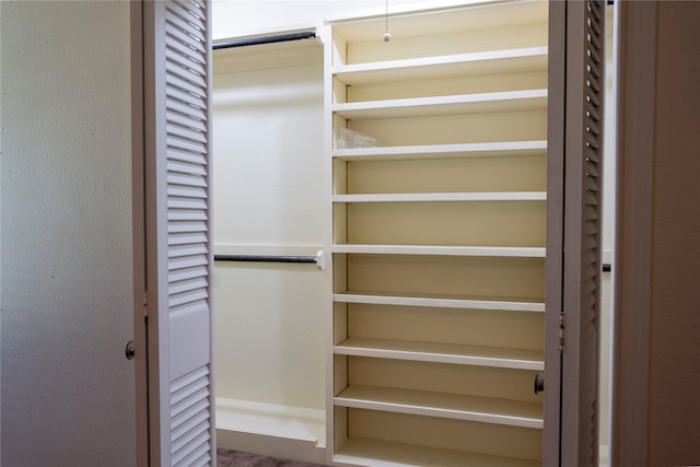 view of closet