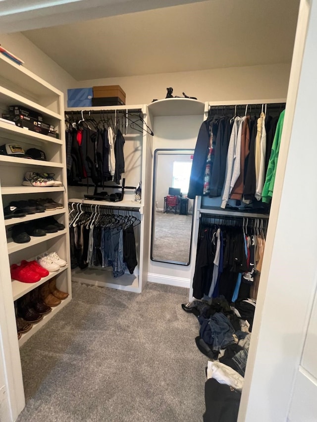 spacious closet featuring carpet flooring