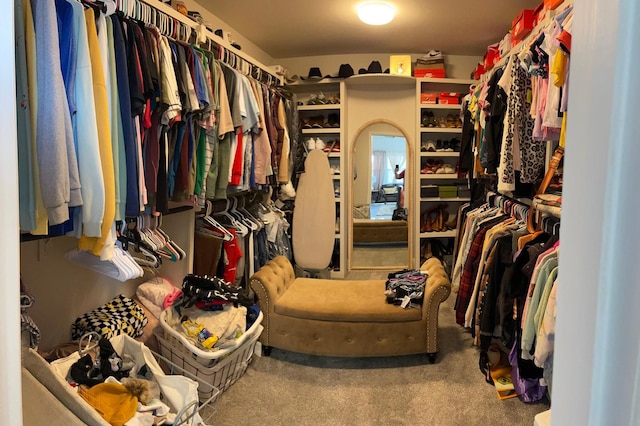 spacious closet with carpet