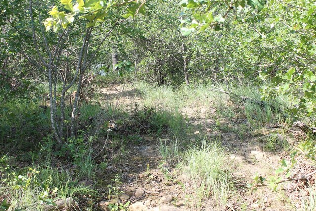 LOT340 Moonlight Bay Dr, Chico, TX 76431
