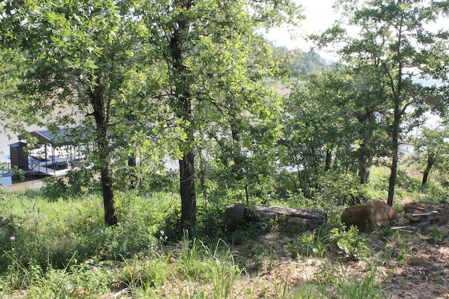 LOT340 Moonlight Bay Dr, Chico, TX 76431