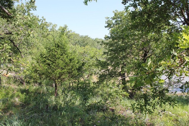 LOT340 Moonlight Bay Dr, Chico, TX 76431