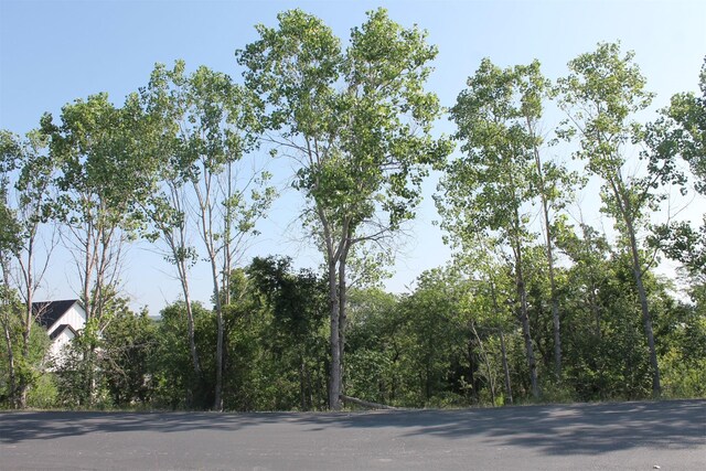 LOT340 Moonlight Bay Dr, Chico, TX 76431