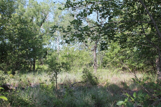 LOT340 Moonlight Bay Dr, Chico, TX 76431