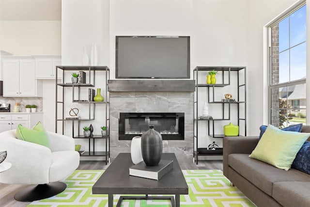 living room featuring a fireplace and wood-type flooring