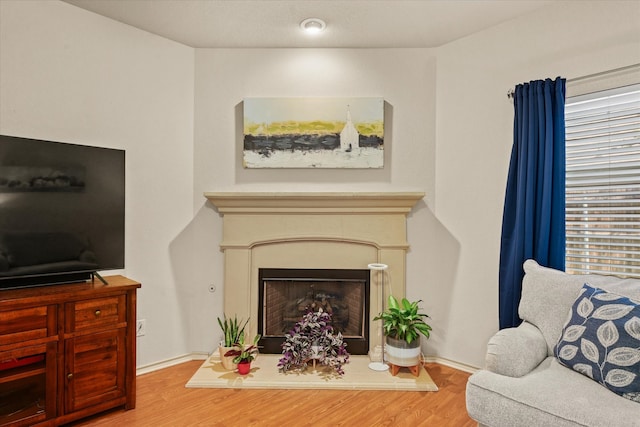 living room with light wood-type flooring