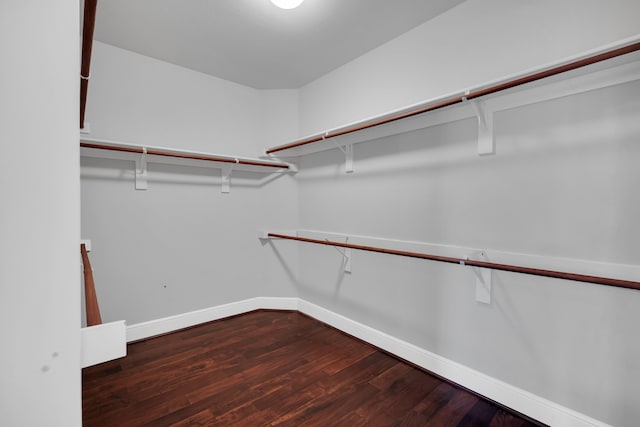 walk in closet featuring dark wood-type flooring