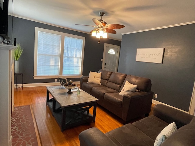 living room with hardwood / wood-style floors, ceiling fan, and crown molding