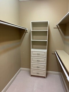 spacious closet with light colored carpet