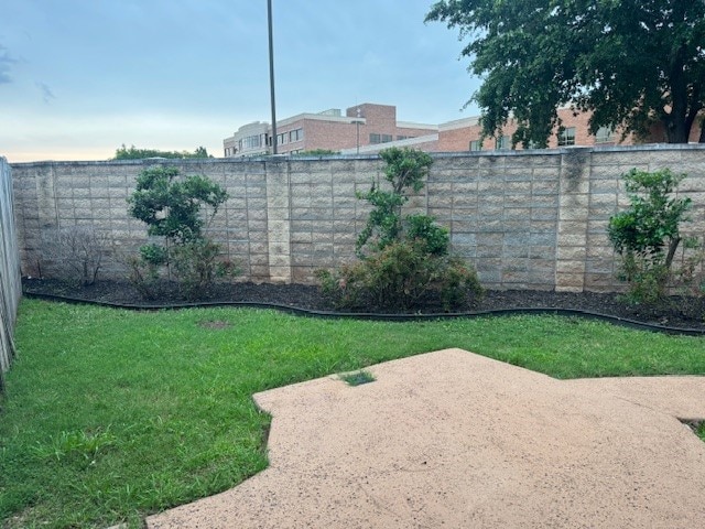 view of yard featuring a patio