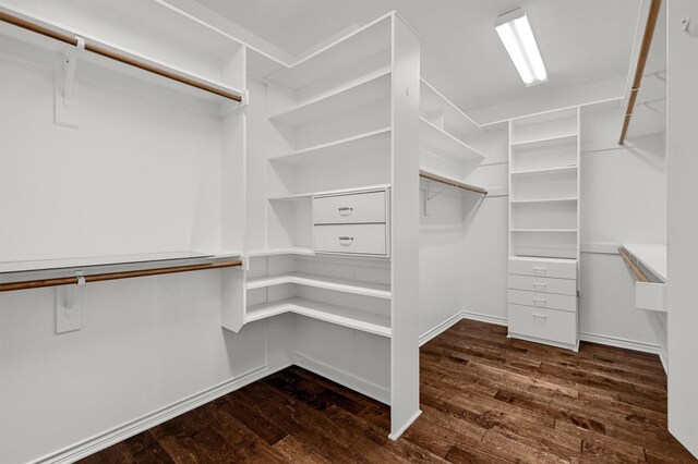 walk in closet featuring dark wood-type flooring