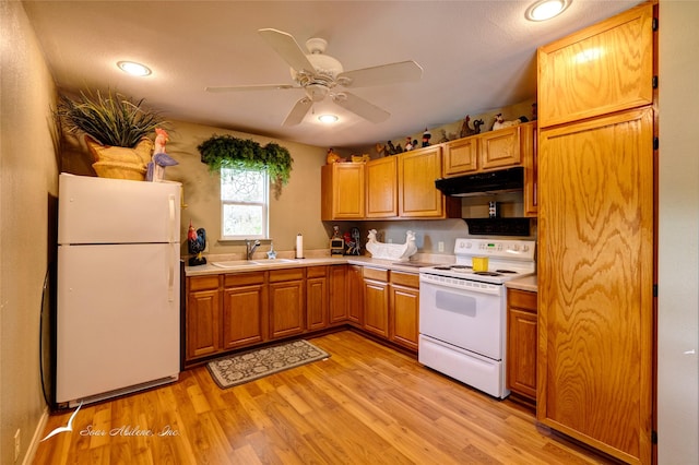 kitchen with ceiling fan, white appliances, sink, and light hardwood / wood-style flooring