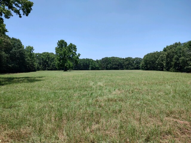 view of nature with a rural view