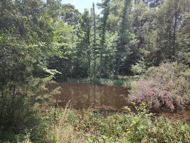 view of mother earth's splendor with a water view