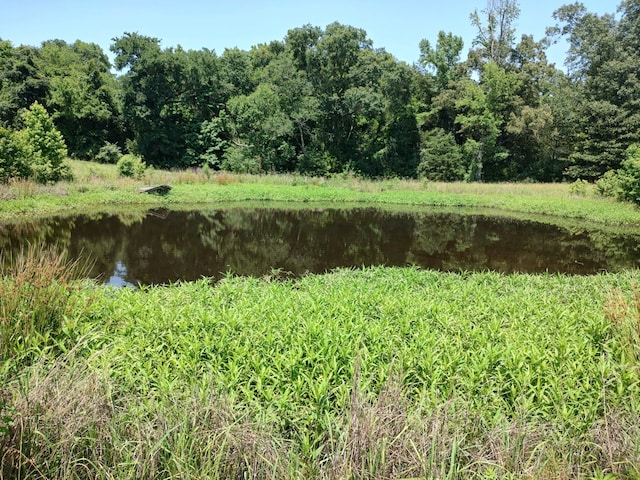 view of mother earth's splendor with a water view