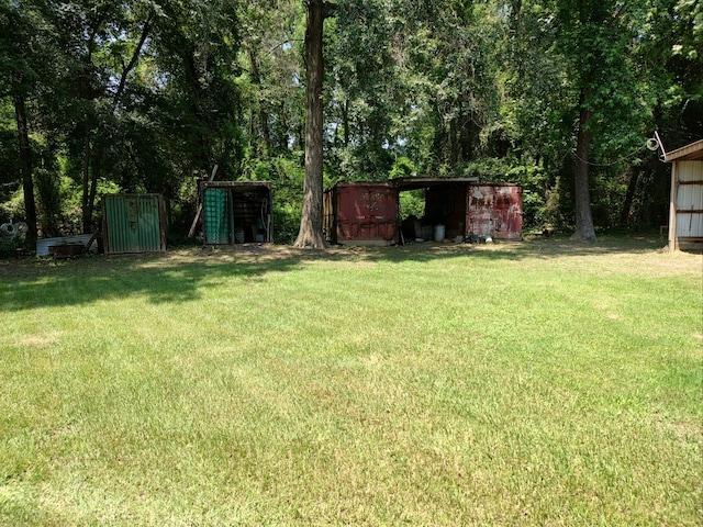 view of yard with a storage shed