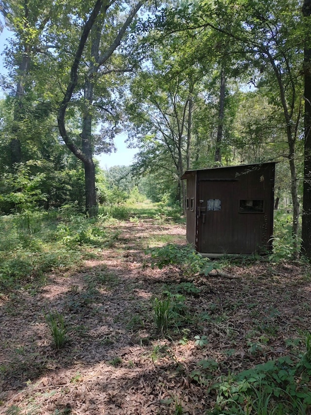 view of yard featuring a shed