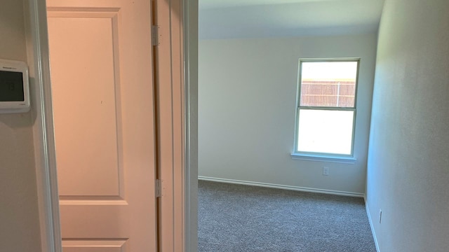 interior space with carpet floors