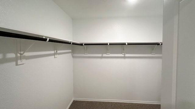 spacious closet with carpet floors