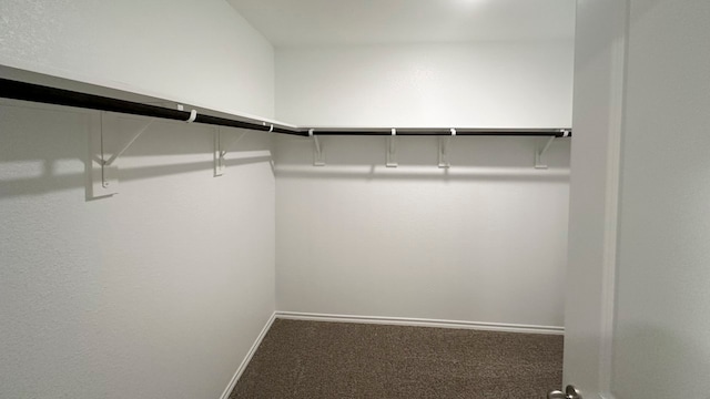 spacious closet with carpet