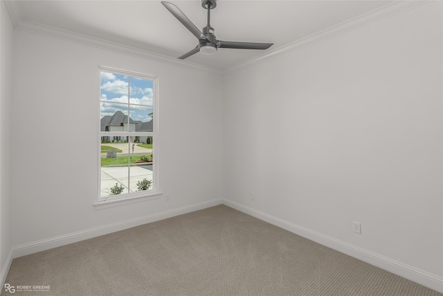 spare room featuring ceiling fan, carpet floors, and ornamental molding