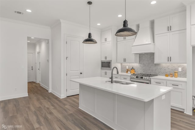 kitchen featuring white cabinetry, sink, premium range hood, decorative backsplash, and appliances with stainless steel finishes