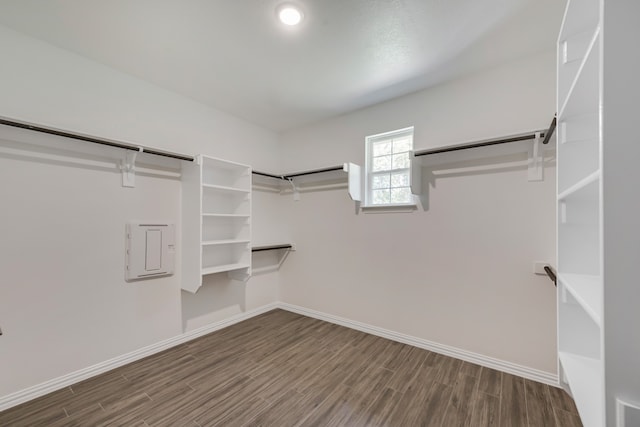 walk in closet with electric panel and dark hardwood / wood-style flooring