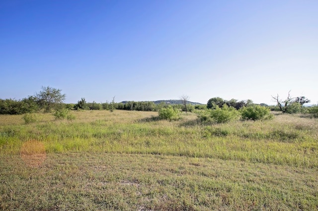 Listing photo 2 for LOT445 Indigo Bush Ct, Graford TX 76449