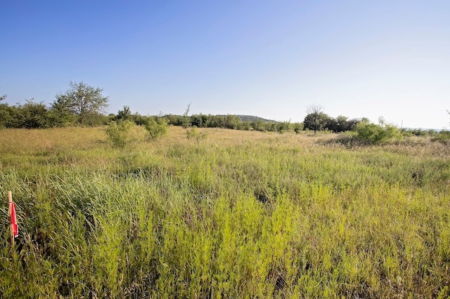 Listing photo 3 for LOT445 Indigo Bush Ct, Graford TX 76449