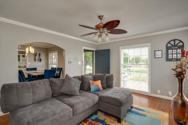 living room with crown molding, hardwood / wood-style floors, and ceiling fan