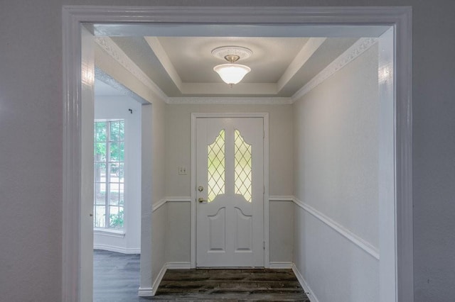 entryway with dark wood-type flooring and a tray ceiling