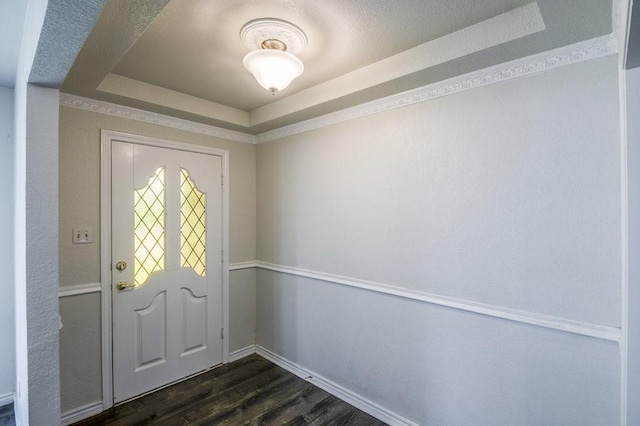 foyer entrance featuring dark hardwood / wood-style floors and a raised ceiling