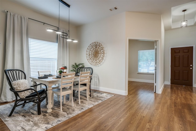 dining room with wood-type flooring