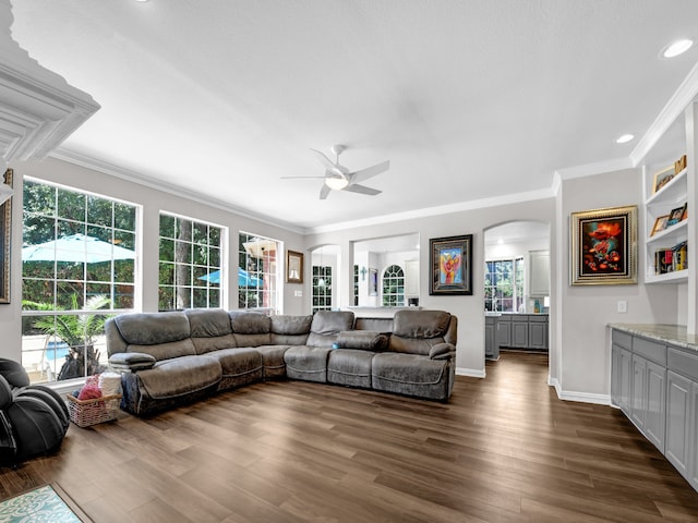 living room with ceiling fan, dark wood-type flooring, and ornamental molding