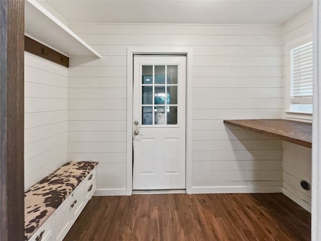 mudroom with wooden walls and dark wood-type flooring