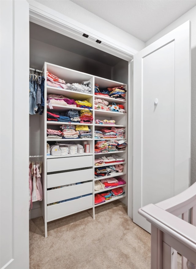 view of closet