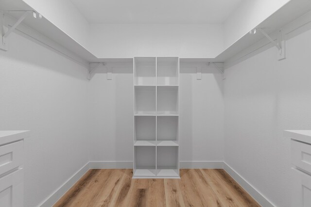 spacious closet with light hardwood / wood-style flooring