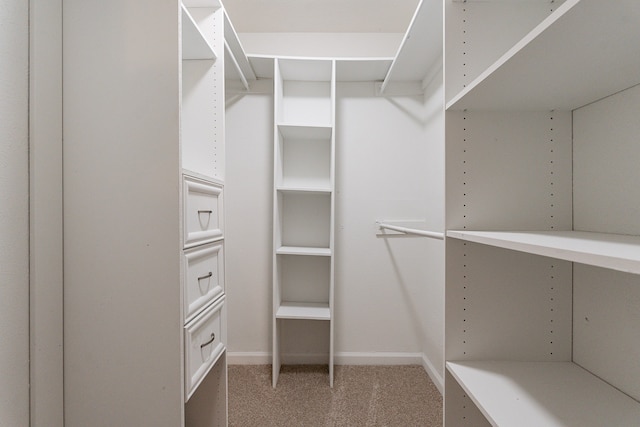 spacious closet featuring carpet floors