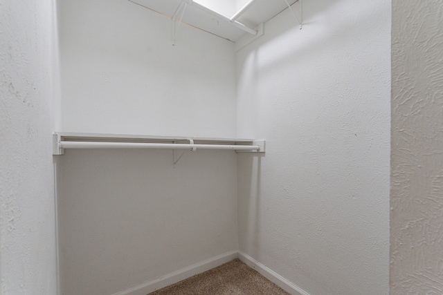 spacious closet featuring carpet floors