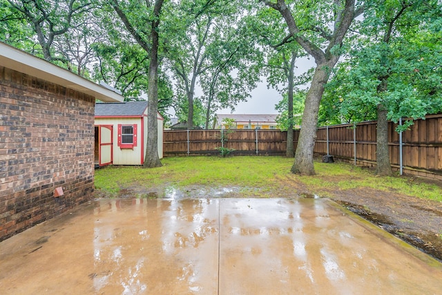 view of yard with a patio area and a storage unit