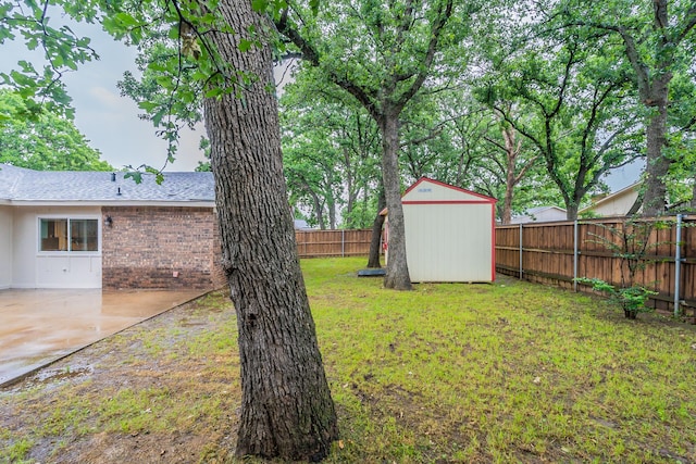 view of yard featuring a storage shed and a patio