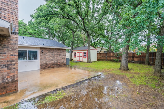 view of yard with a patio and a storage unit