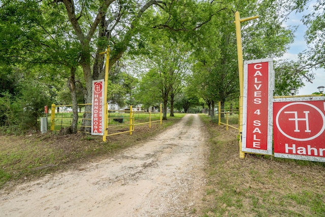 view of street